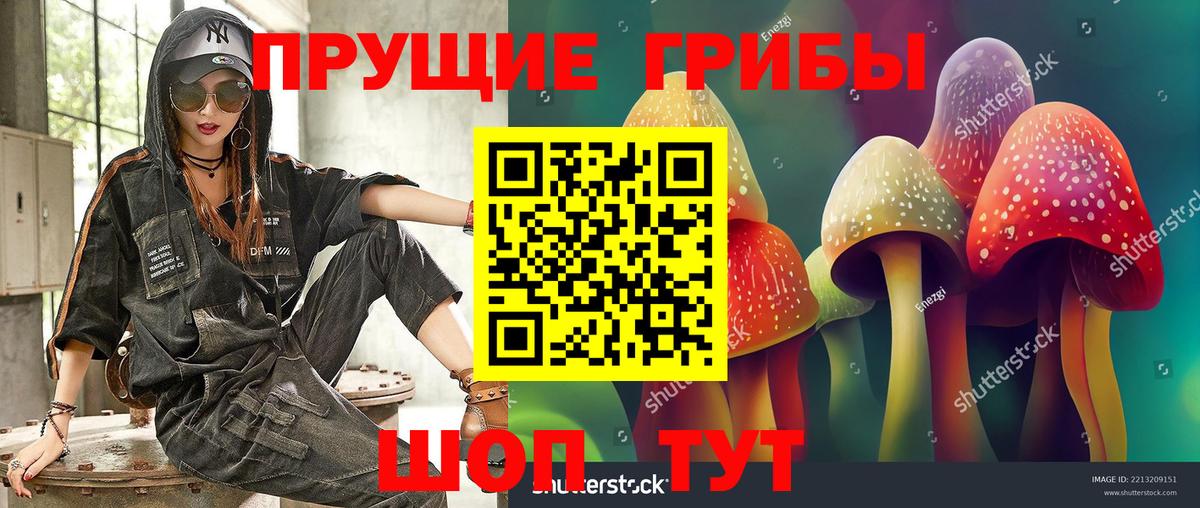 Воркута  Галлюциногенные грибы Magic Shrooms  Галлюциногенные грибы Psilocybe  Вход с VPN 